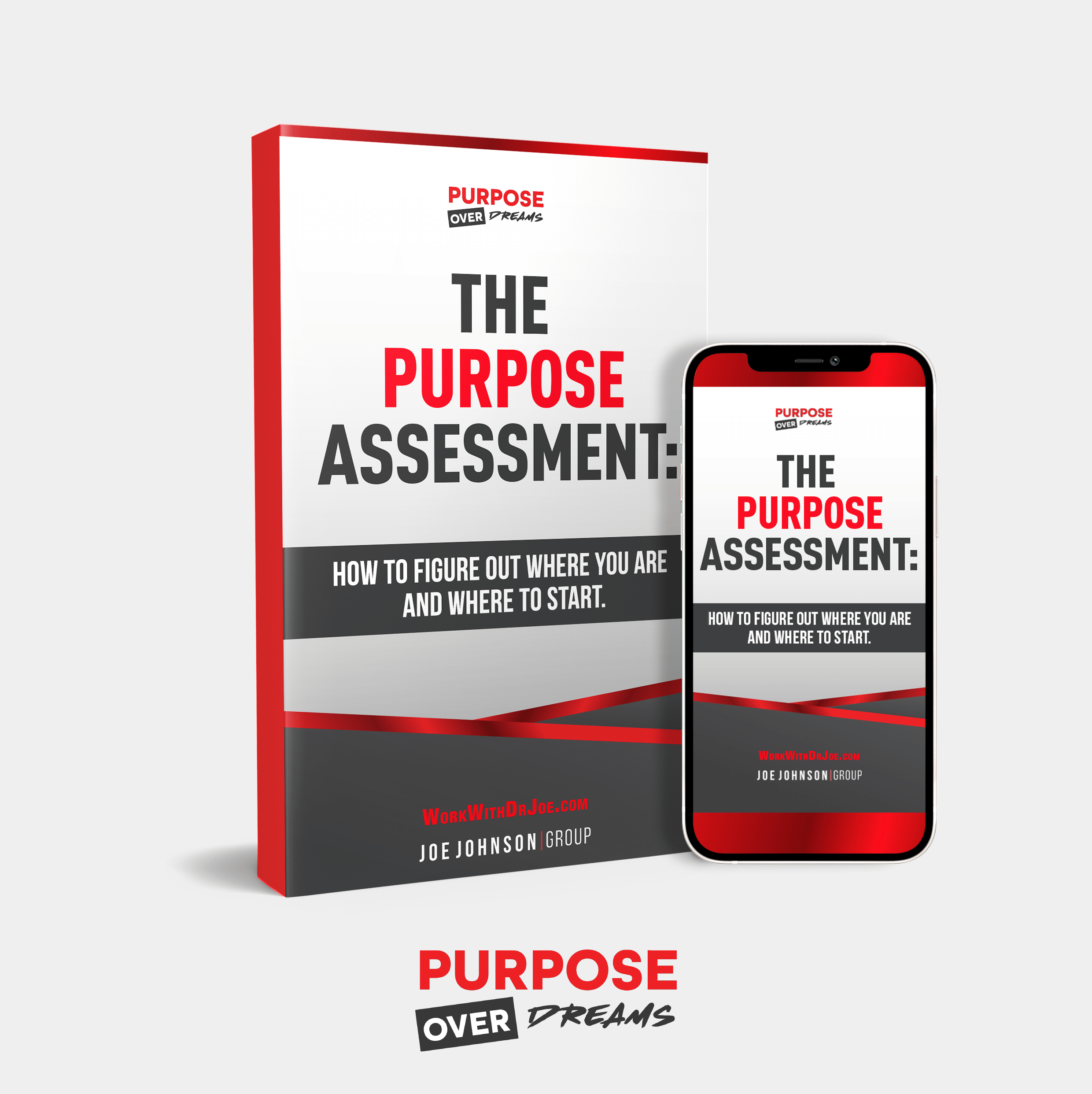 THE PURPOSE ASSESSMENT